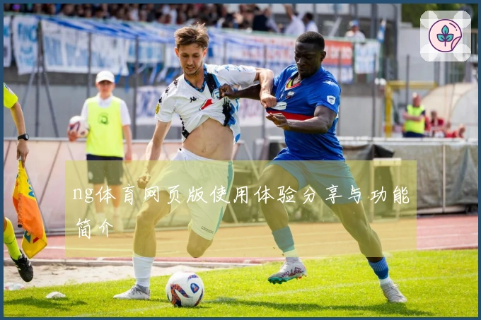 ng体育网页版使用体验分享与功能简介
