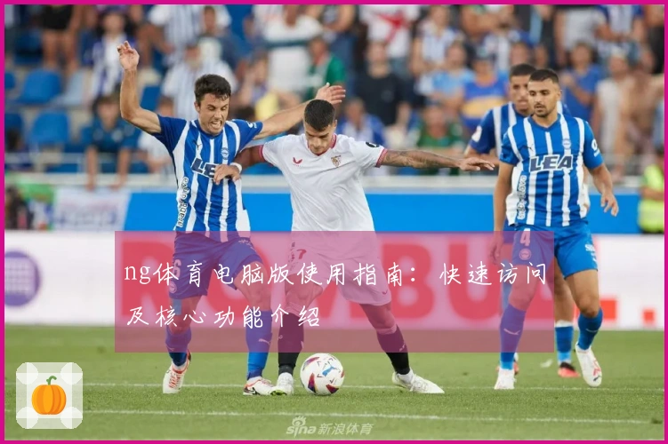 ng体育电脑版使用指南：快速访问及核心功能介绍