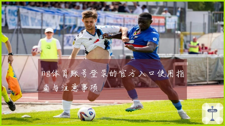 ng体育账号登录的官方入口使用指南与注意事项