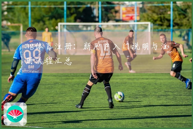 ng体育注册：新用户入门说明与注册流程汇总
