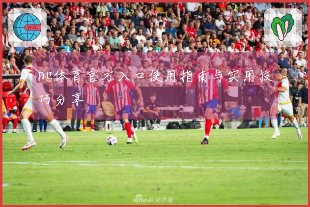 ng体育官方入口使用指南与实用技巧分享
