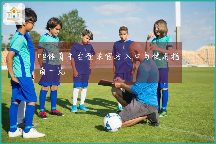ng体育平台登录官方入口与使用指南一览